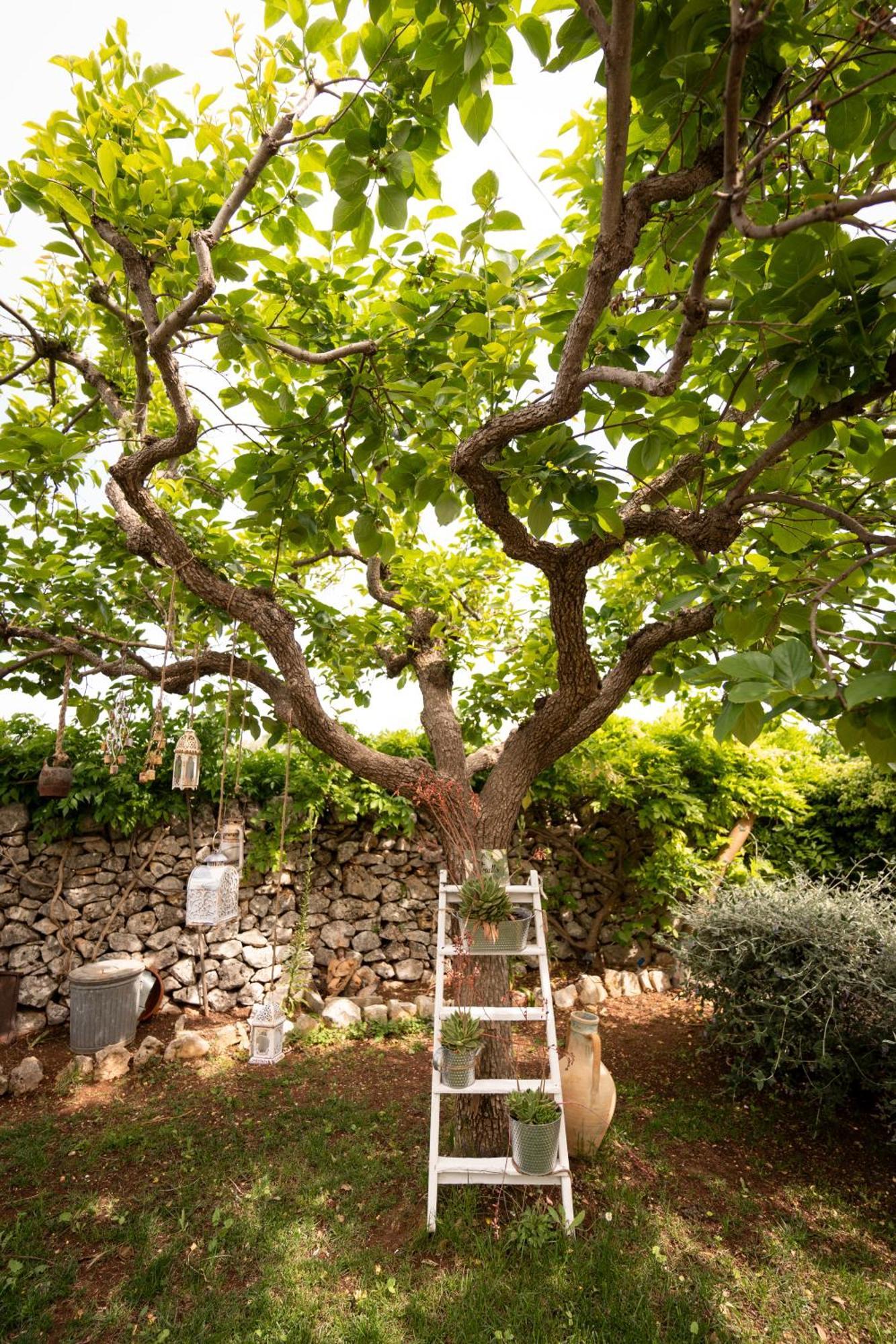 Villa Il Trullo Volza Locorotondo Esterno foto