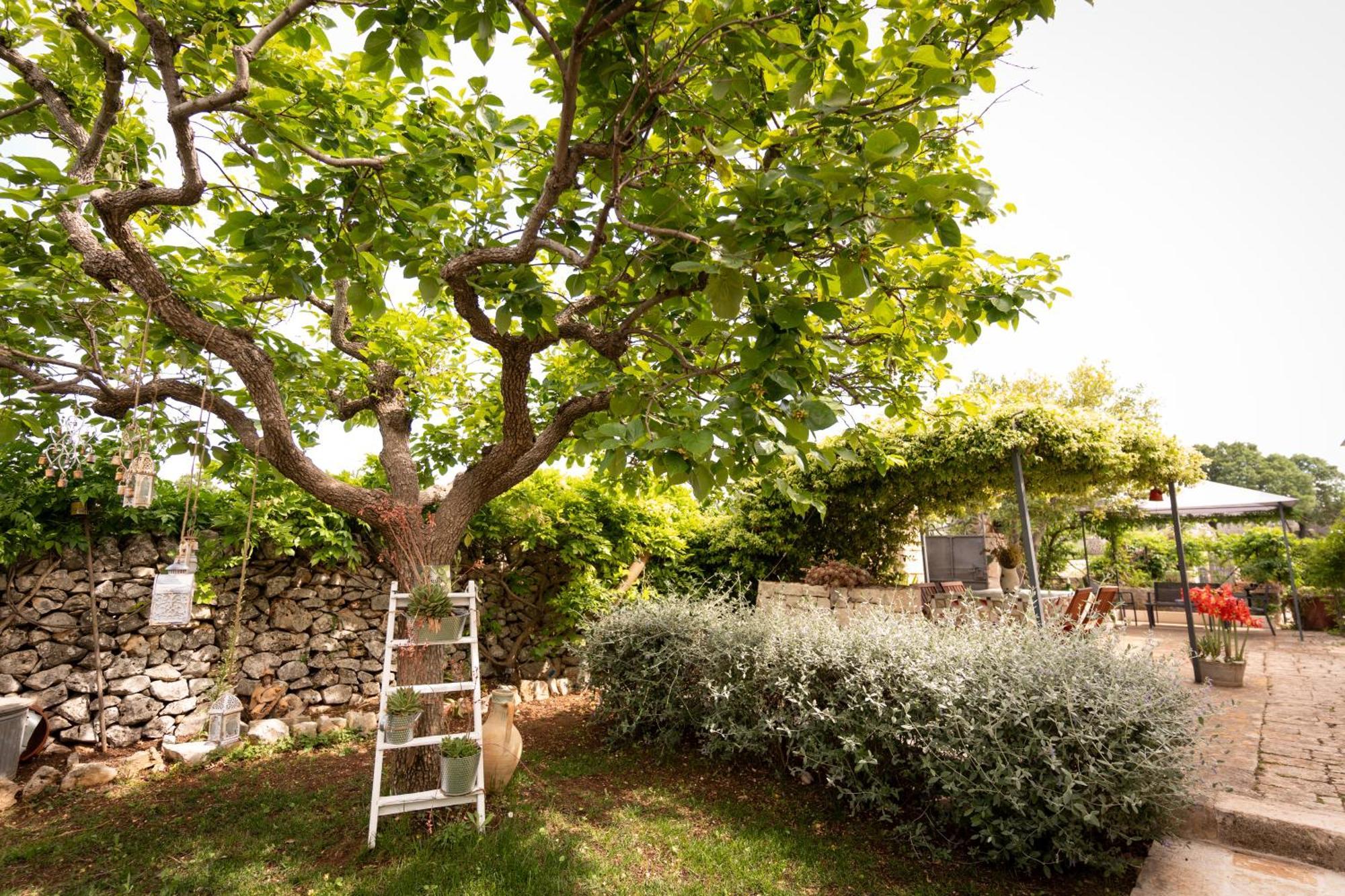 Villa Il Trullo Volza Locorotondo Esterno foto